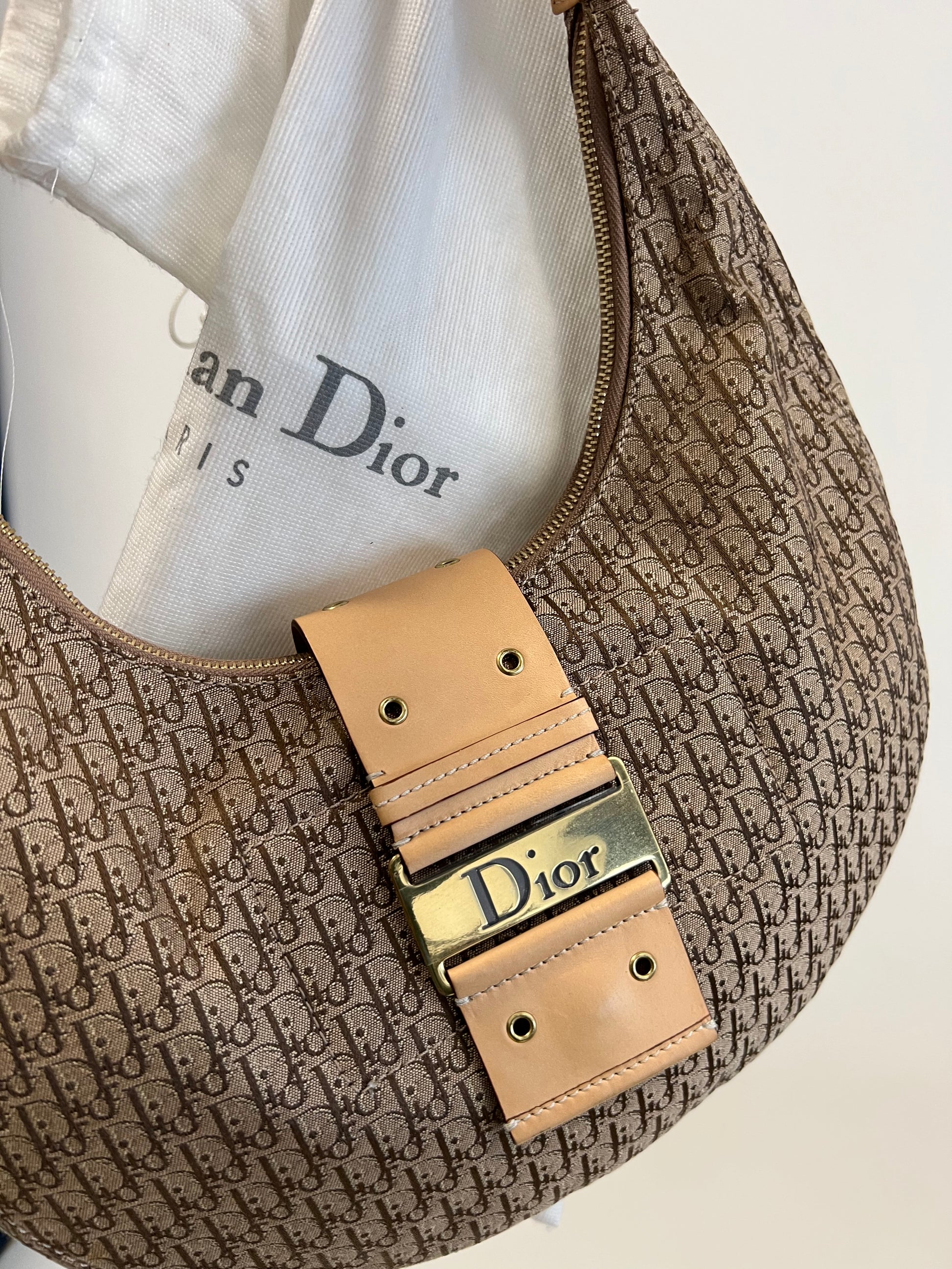 Christian Dior Monogram Hobo Bag 2004