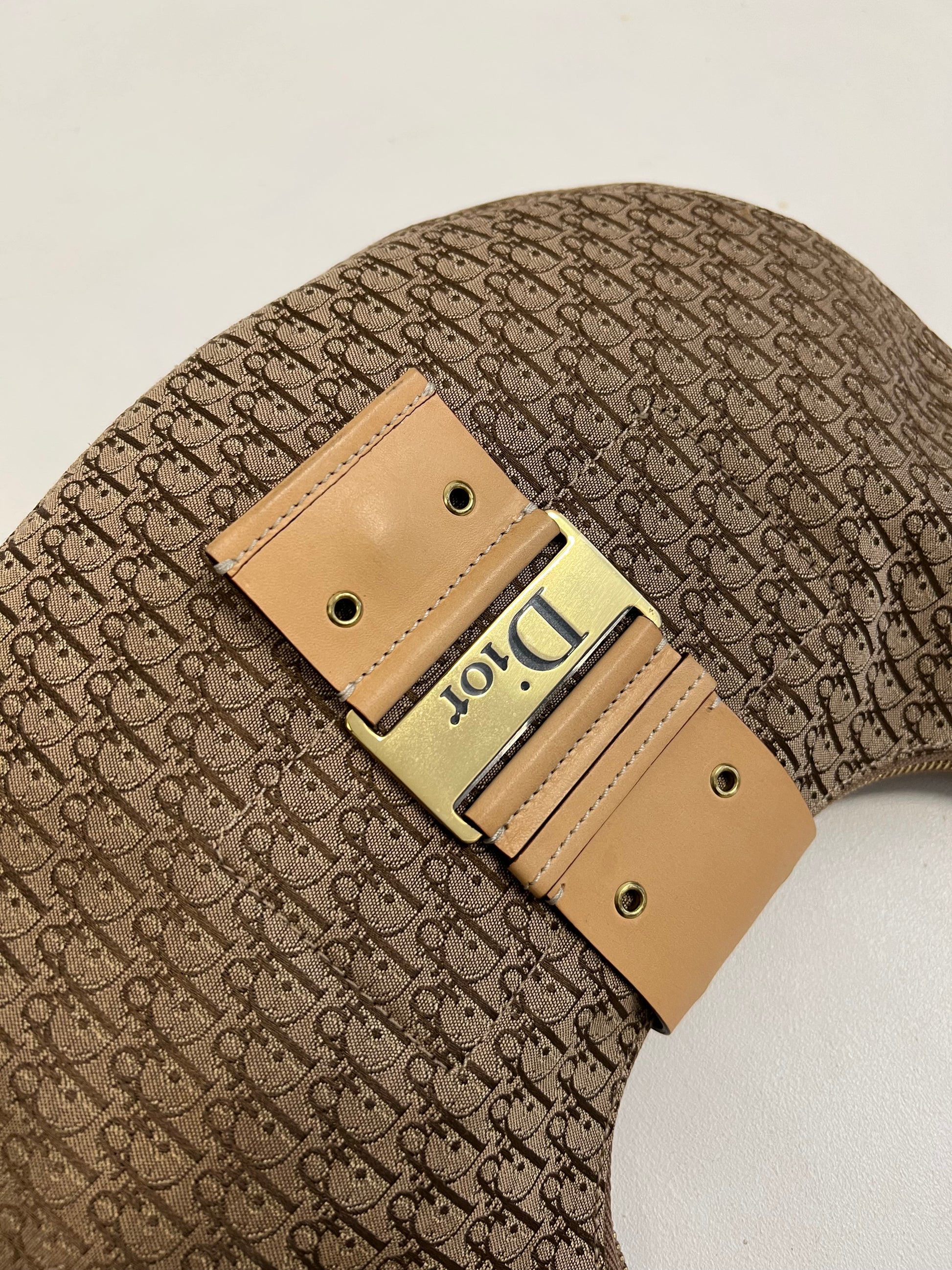 Christian Dior Monogram Hobo Bag 2004