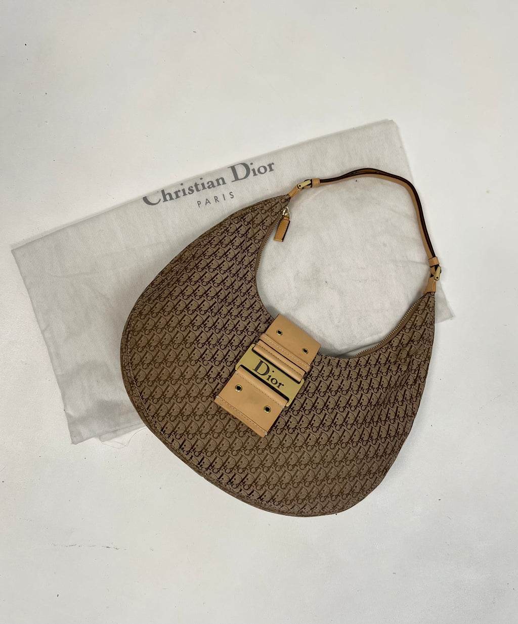 Christian Dior Monogram Hobo Bag 2004