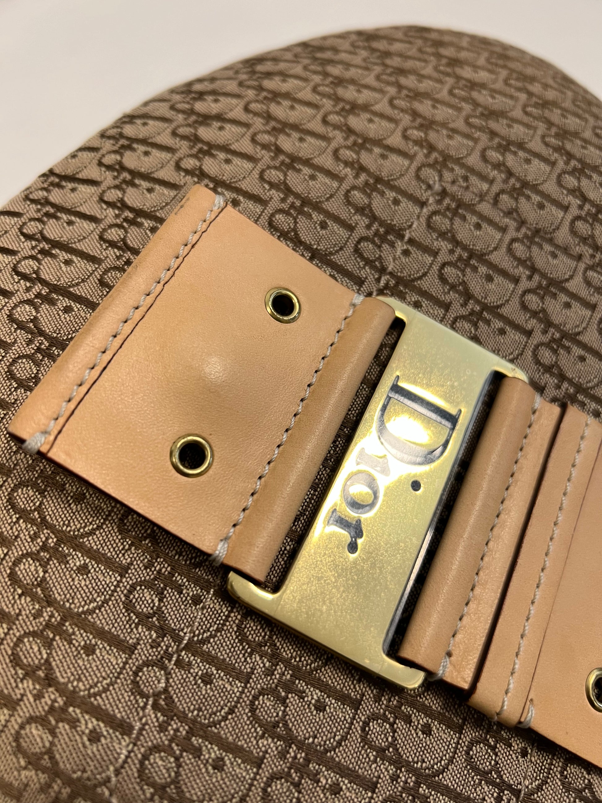 Christian Dior Monogram Hobo Bag 2004