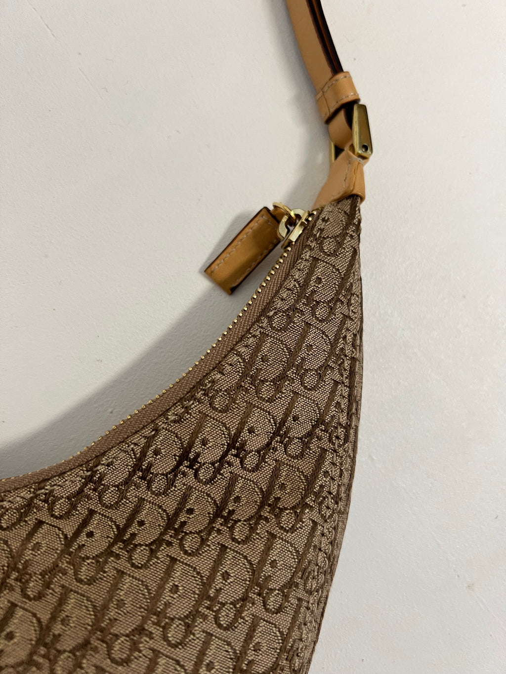 Christian Dior Monogram Hobo Bag 2004