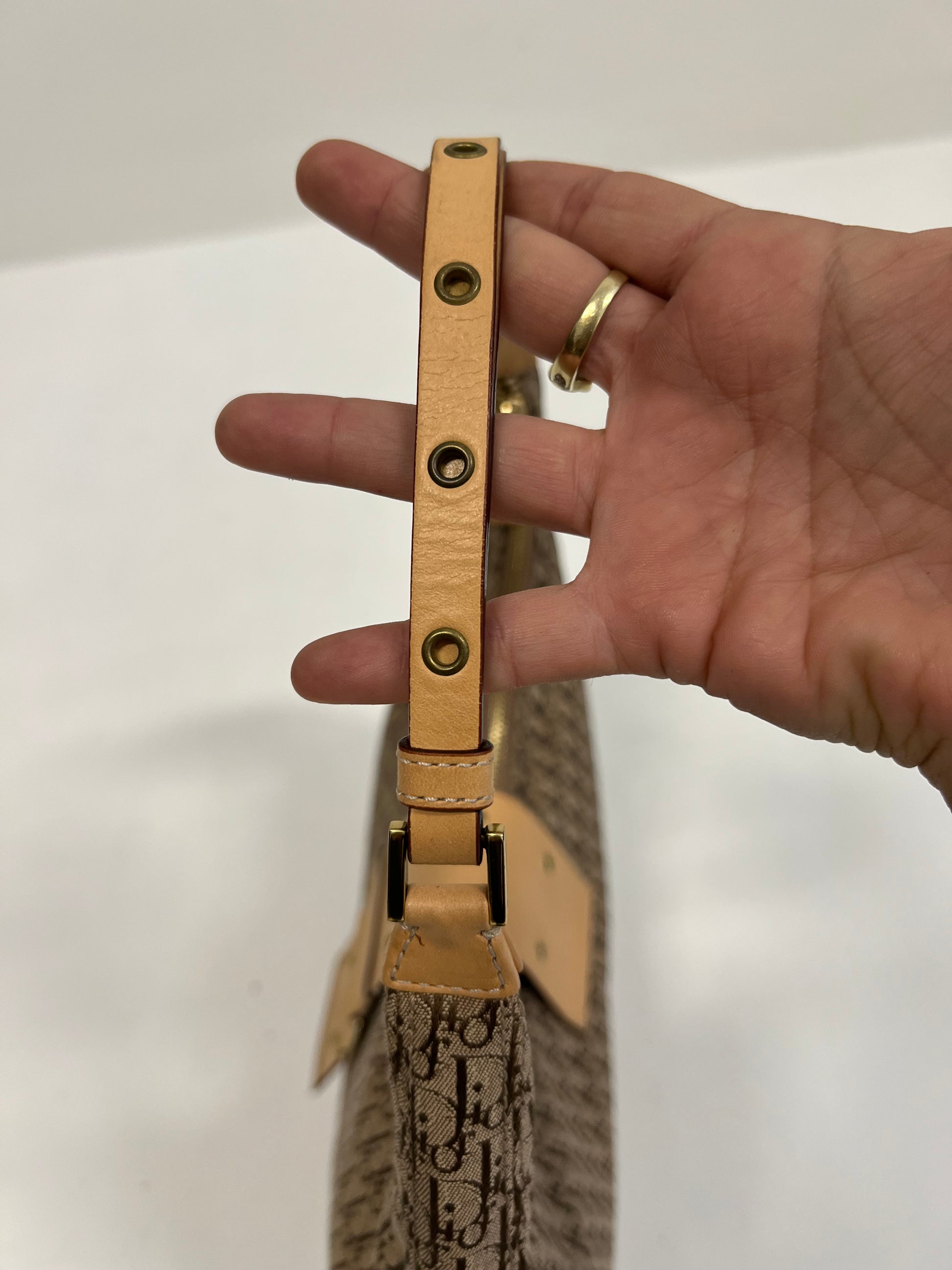 Christian Dior Monogram Hobo Bag 2004