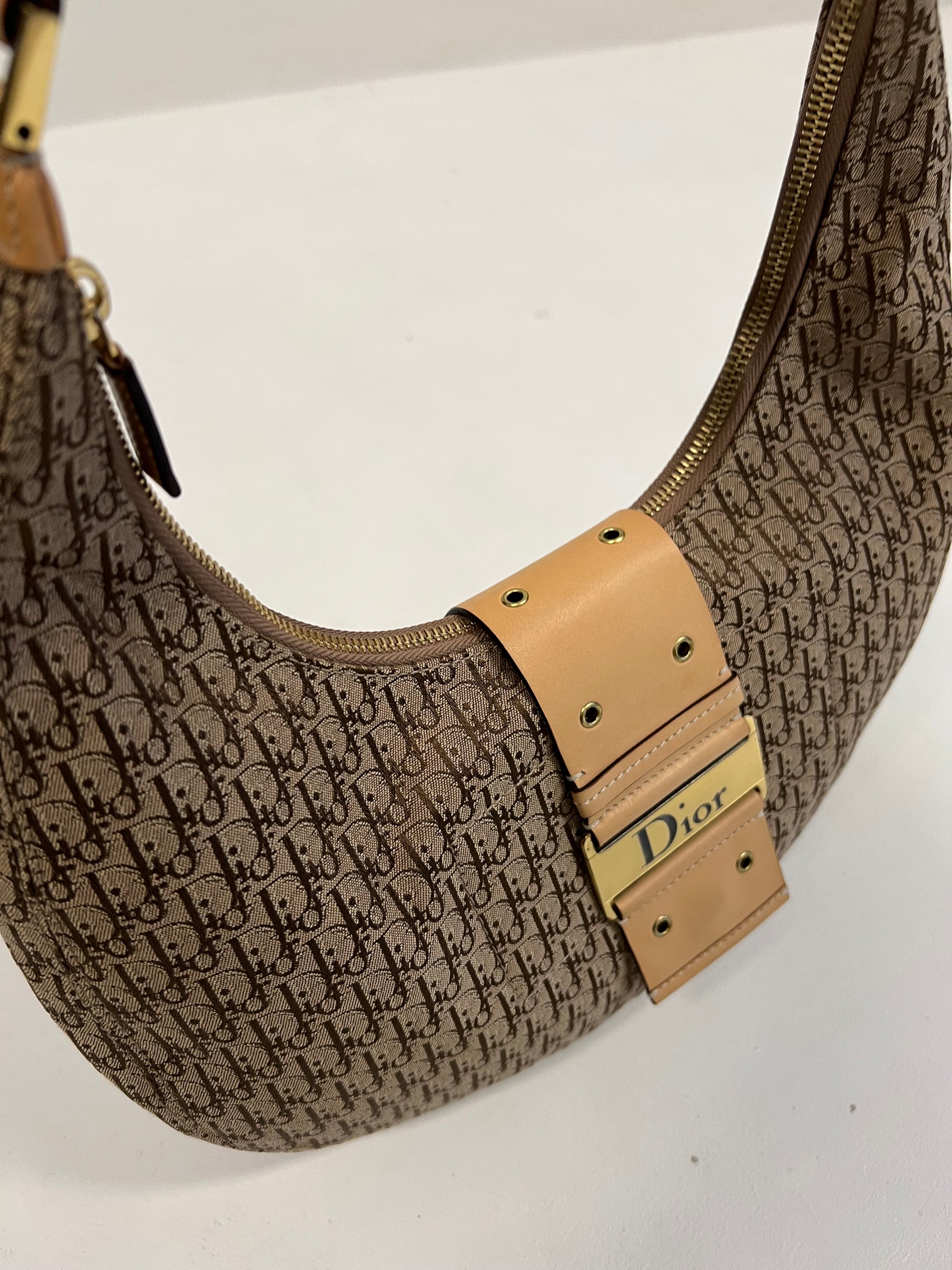 Christian Dior Monogram Hobo Bag 2004